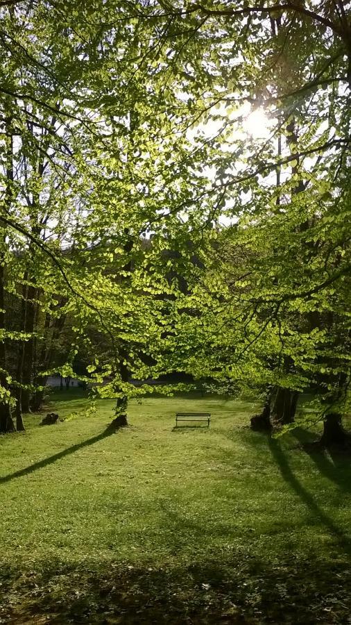 Apartma Obrh Šmarješke Toplice Exteriör bild